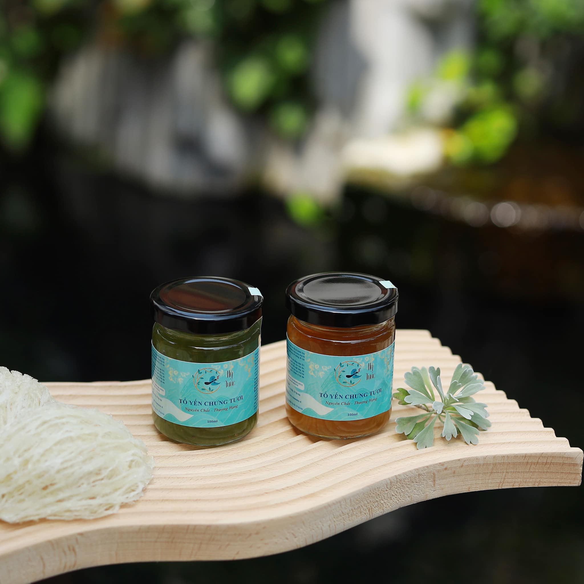 2 cách làm yến chưng đường phèn bổ dưỡng, tốt cho sức khỏe