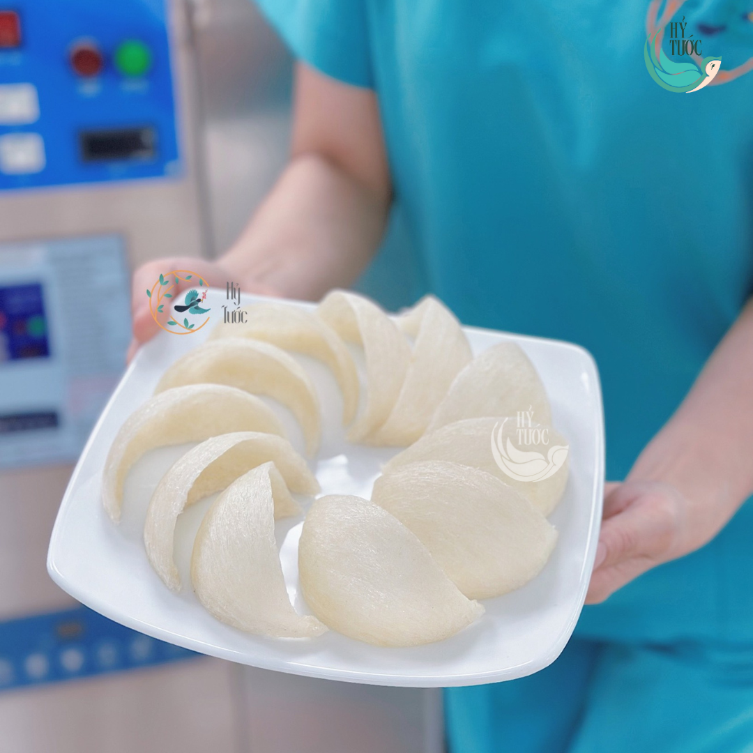 Tổ Yến Định Hình Xuất Khẩu Loại Thượng Hạng