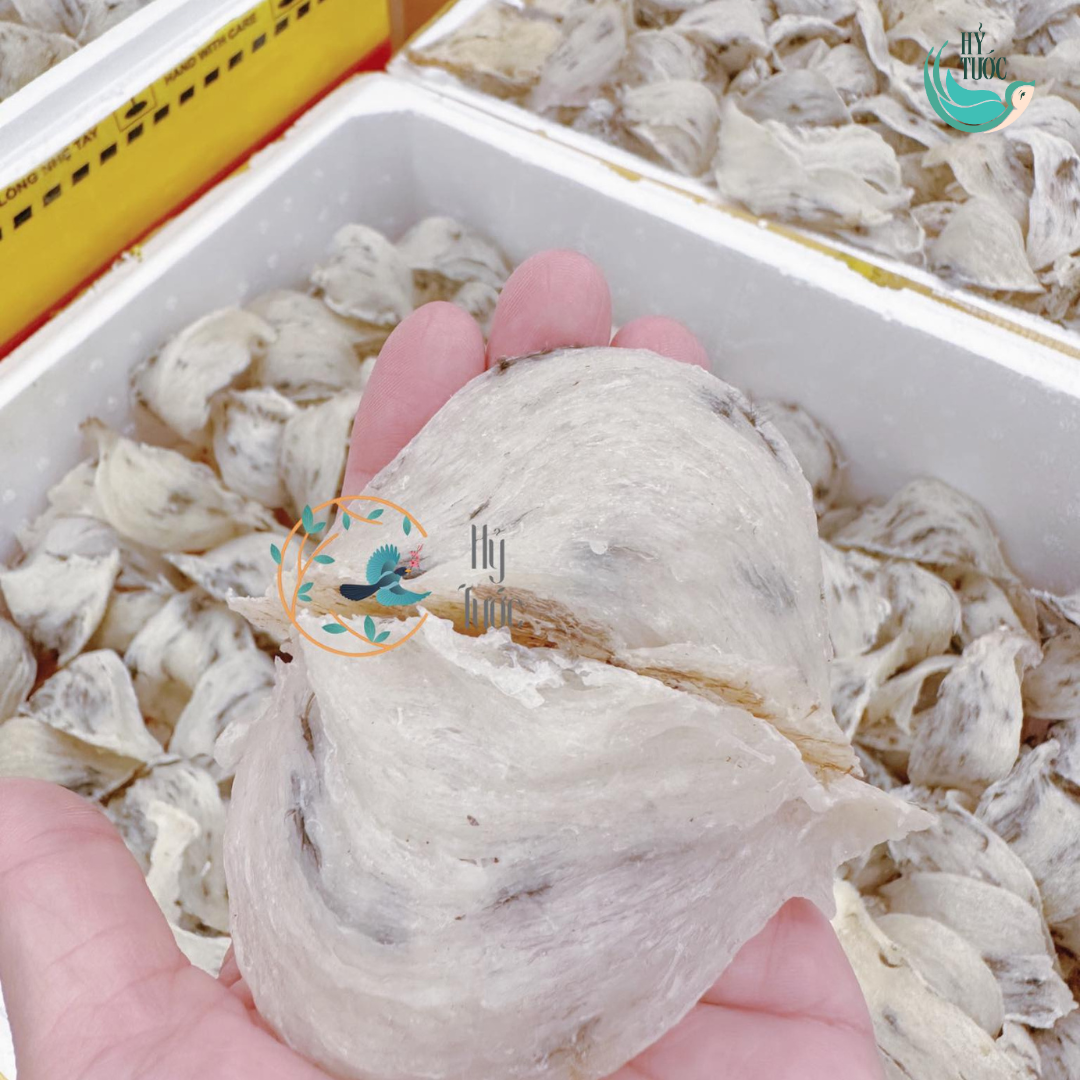 Tổ Yến Thô Khánh Hòa Cao Cấp