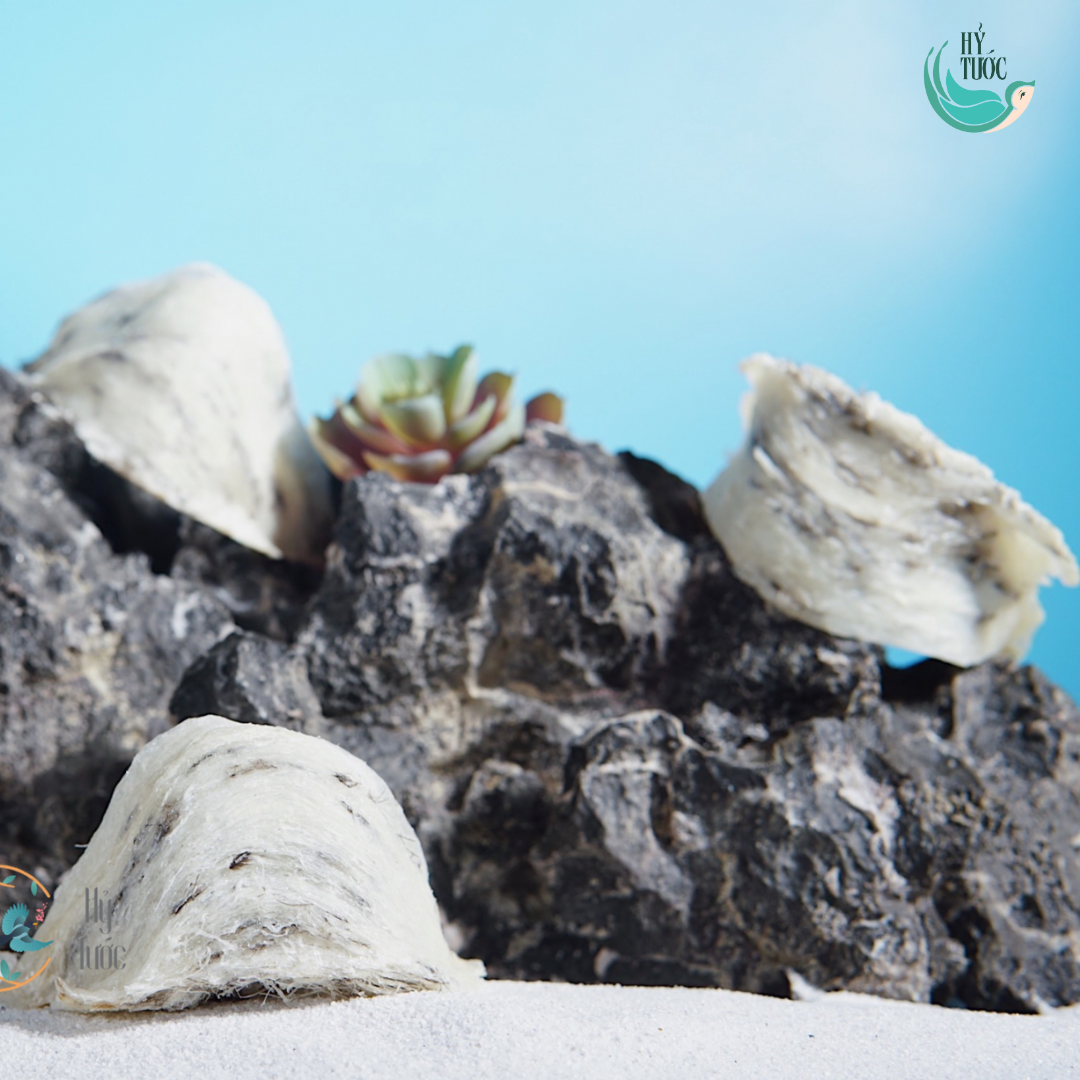 Tổ Yến Thô Khánh Hòa Cao Cấp